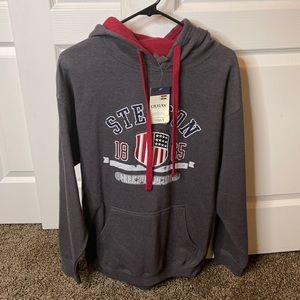 Gray Stetson hoodie